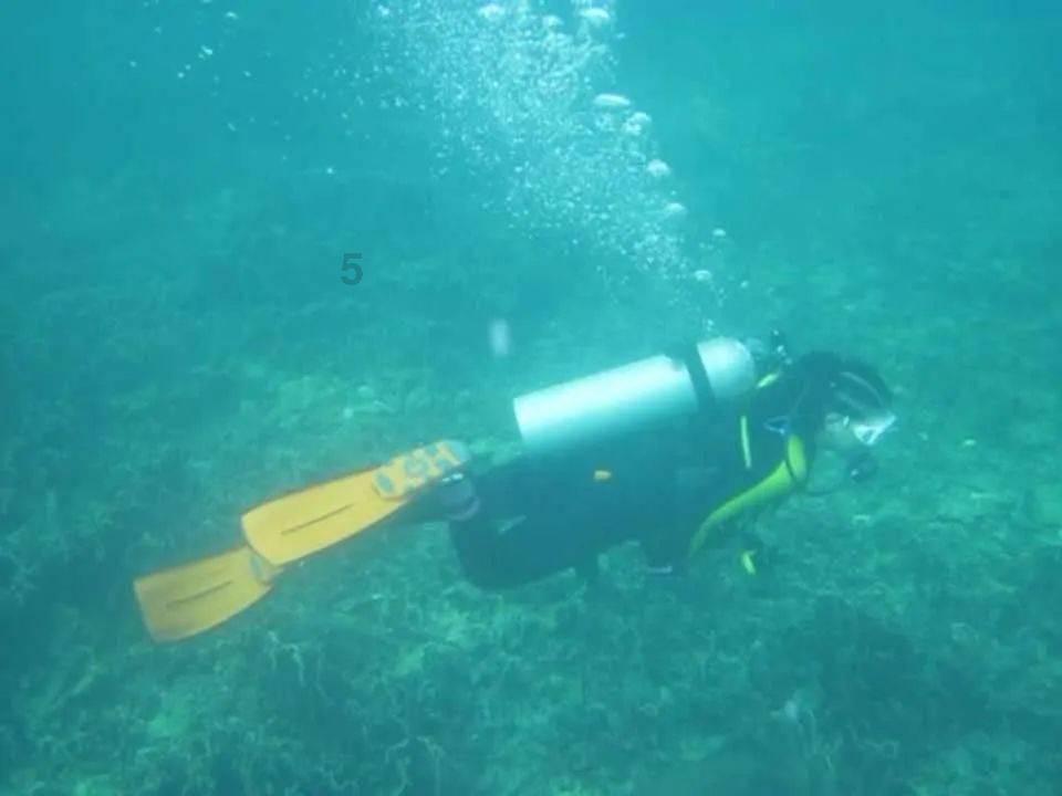 边境之旅